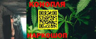 индика Лесосибирск