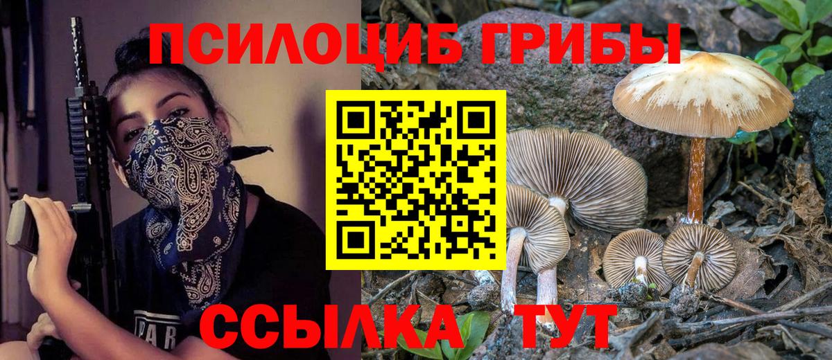 Псилоцибиновые грибы мухоморы  Вход с VPN  Морозовск  Псилоцибиновые грибы Psilocybine cubensis 